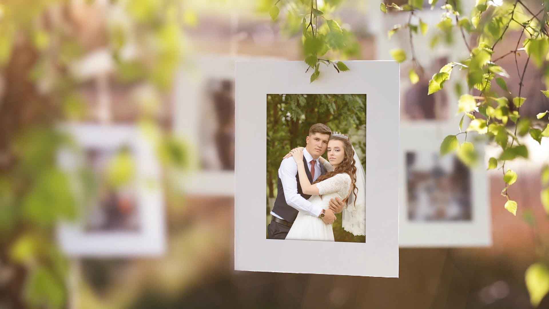 свадебная фотосессия, фотосъемка свадьбы, фотограф на свадьбу